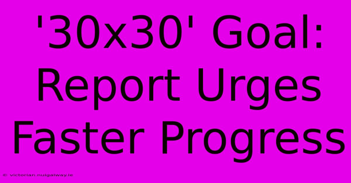 '30x30' Goal: Report Urges Faster Progress