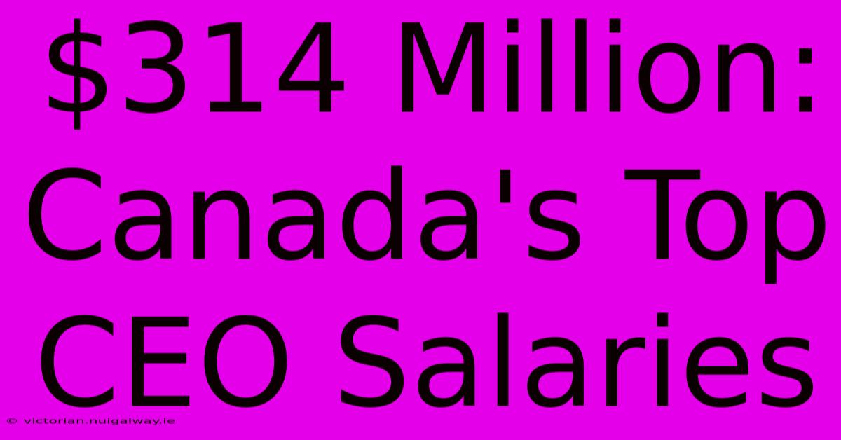 $314 Million: Canada's Top CEO Salaries