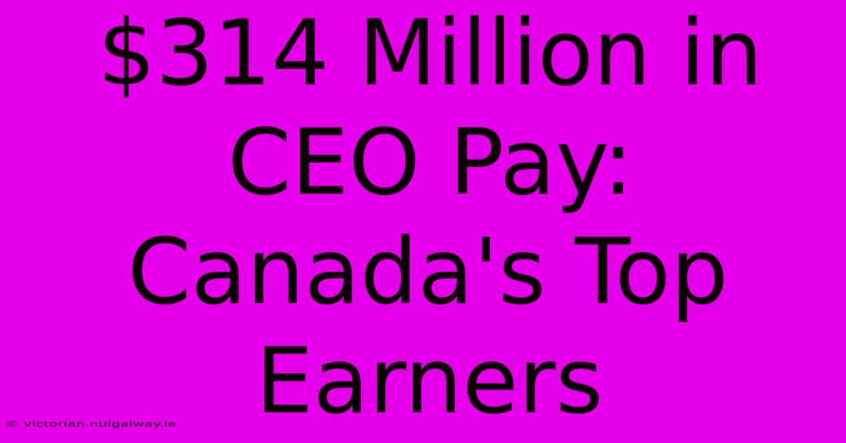 $314 Million In CEO Pay: Canada's Top Earners