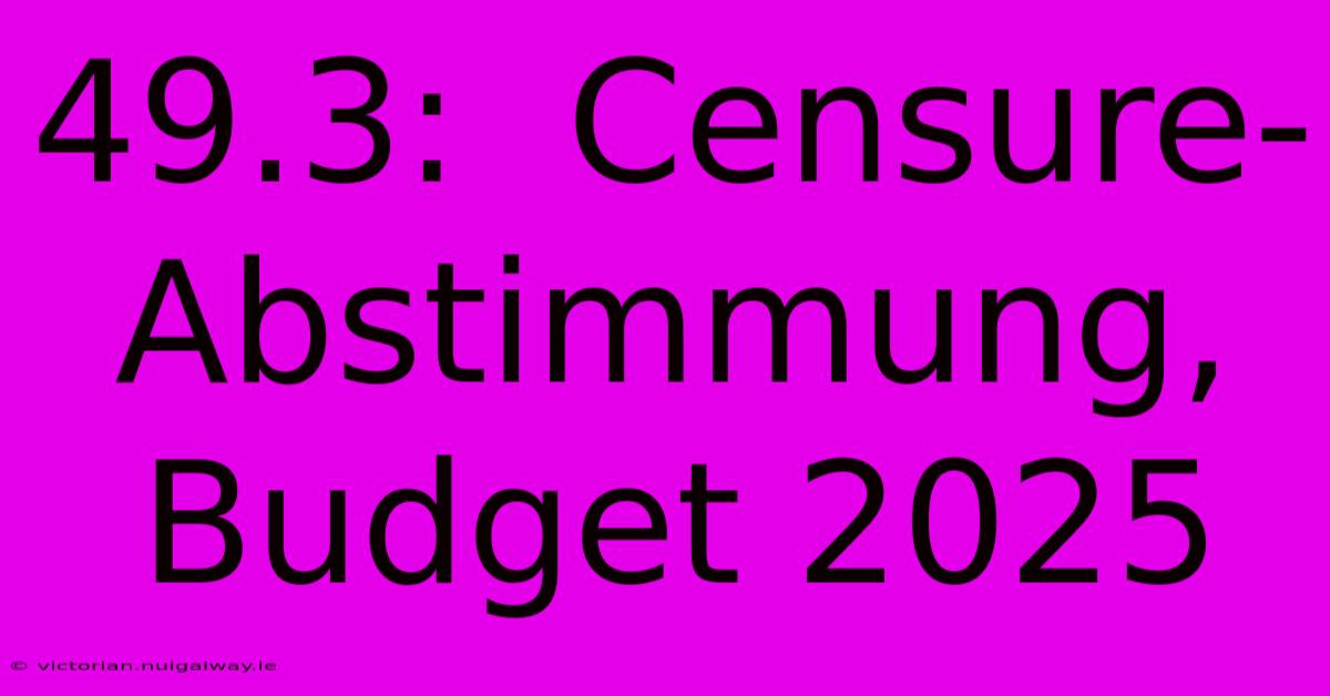 49.3:  Censure-Abstimmung, Budget 2025