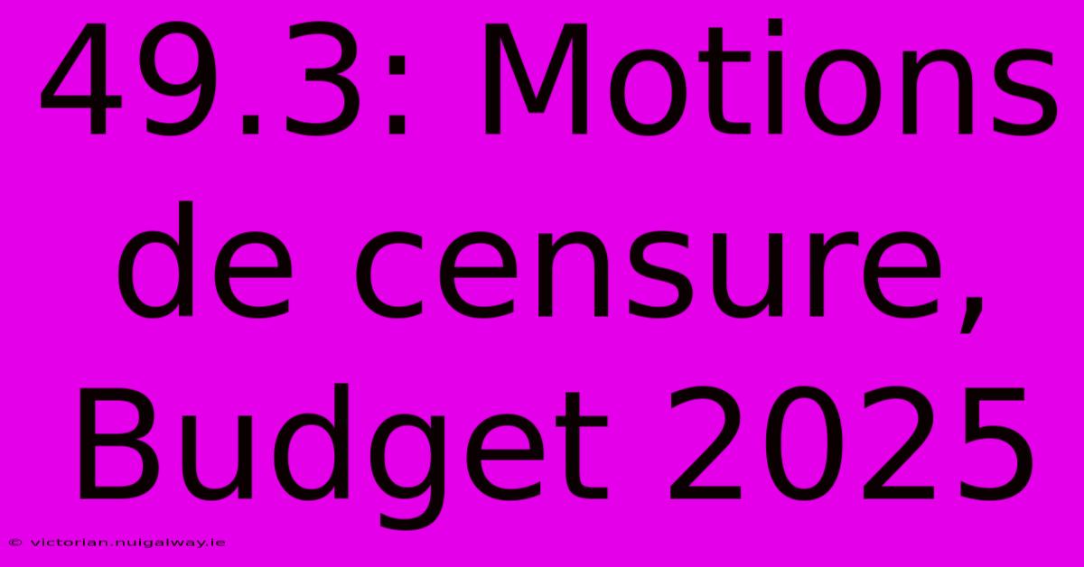 49.3: Motions De Censure, Budget 2025