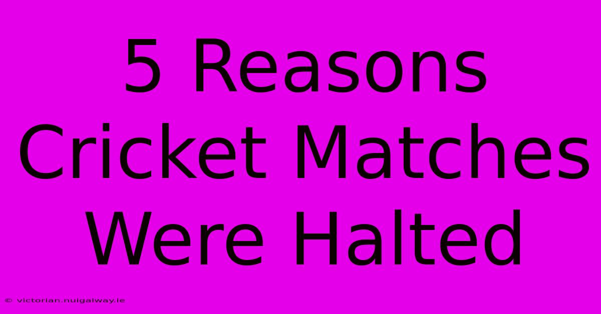 5 Reasons Cricket Matches Were Halted