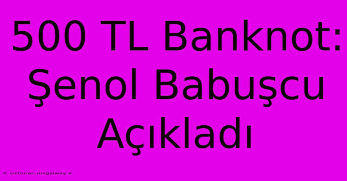 500 TL Banknot: Şenol Babuşcu Açıkladı