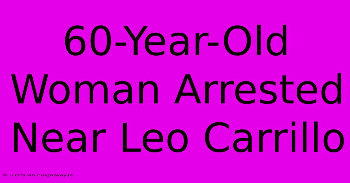 60-Year-Old Woman Arrested Near Leo Carrillo