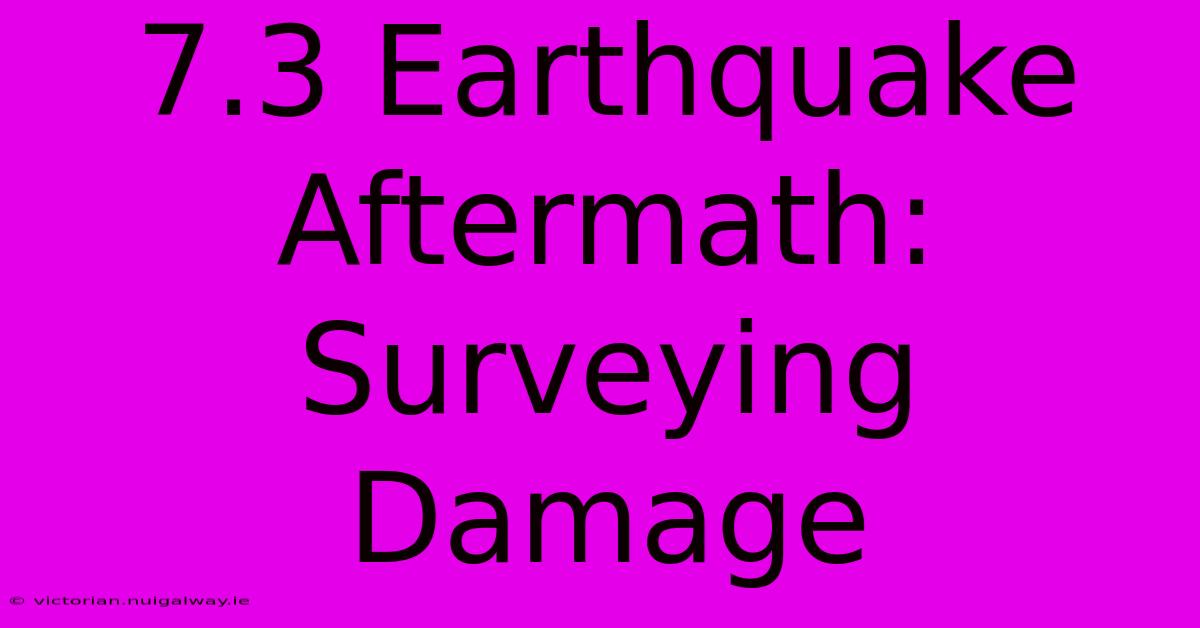 7.3 Earthquake Aftermath: Surveying Damage