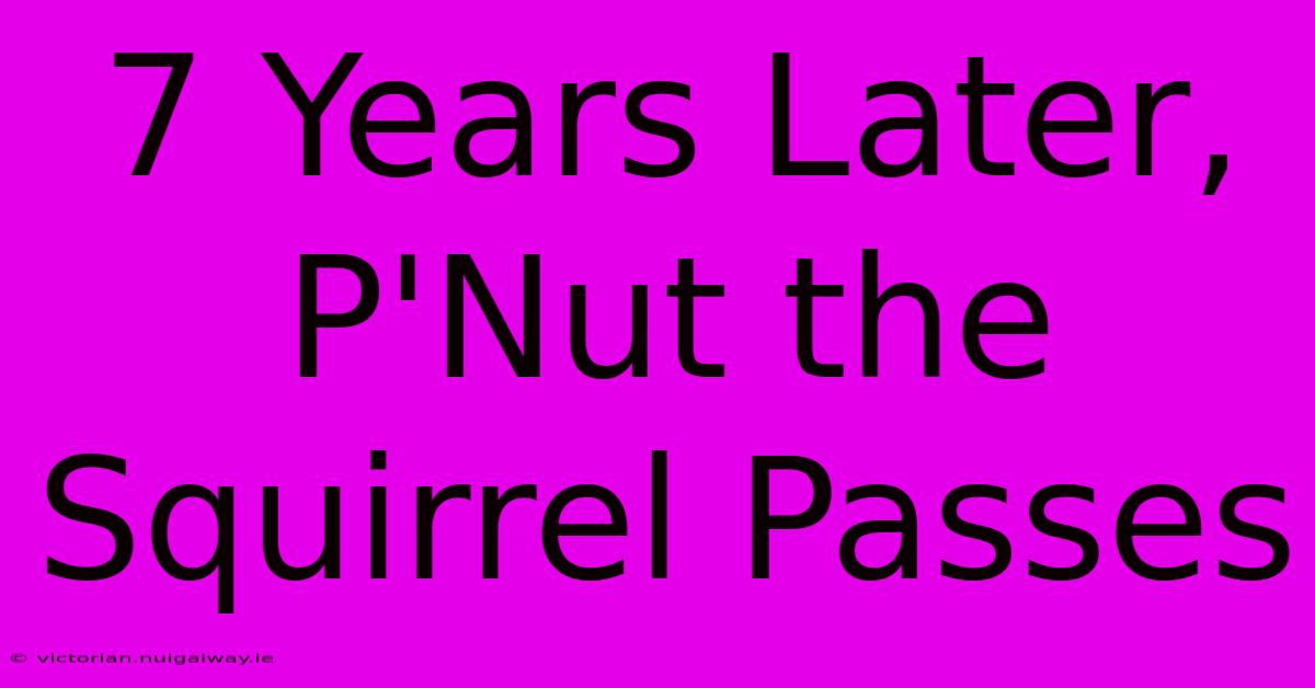 7 Years Later, P'Nut The Squirrel Passes