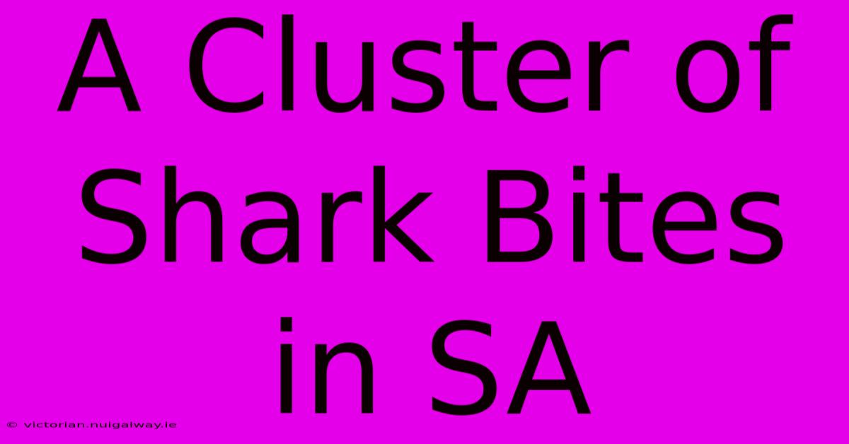 A Cluster Of Shark Bites In SA