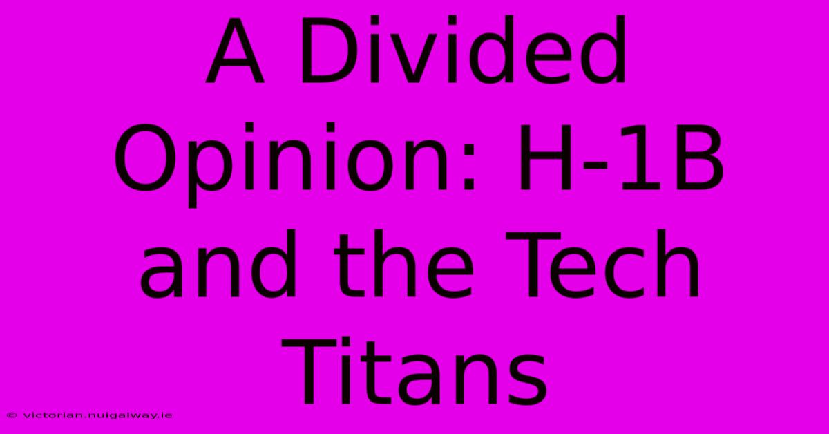 A Divided Opinion: H-1B And The Tech Titans