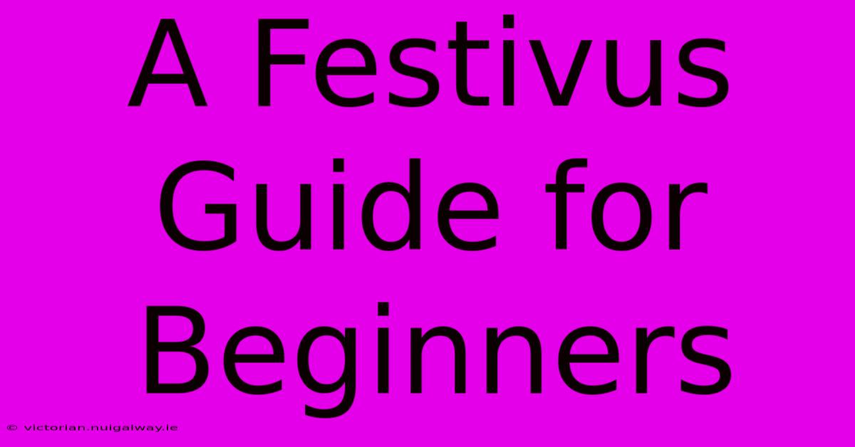 A Festivus Guide For Beginners