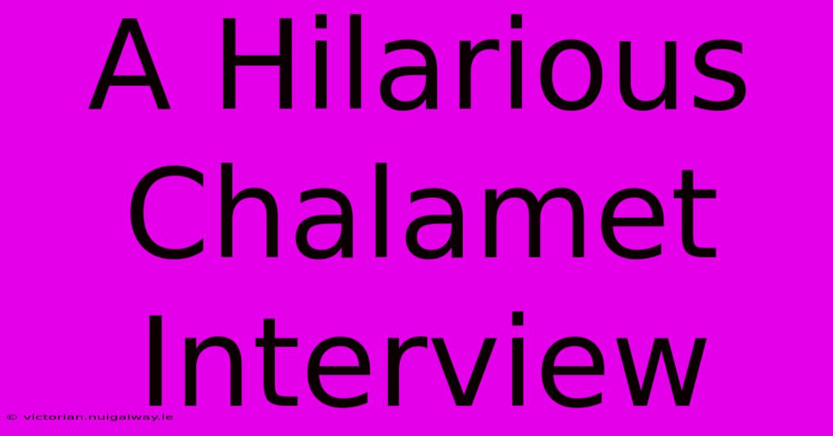 A Hilarious Chalamet Interview