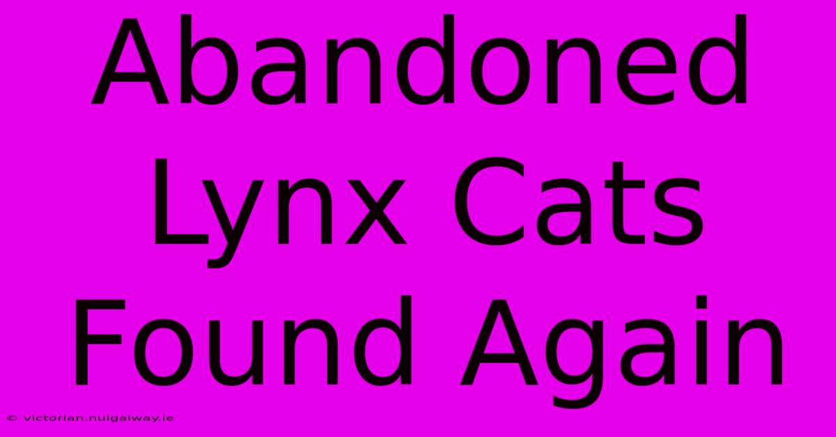 Abandoned Lynx Cats Found Again