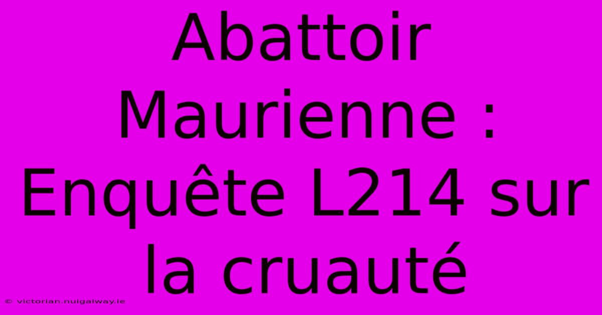 Abattoir Maurienne : Enquête L214 Sur La Cruauté