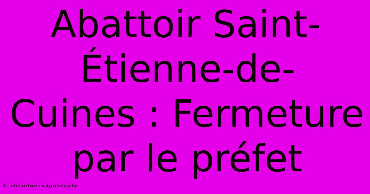 Abattoir Saint-Étienne-de-Cuines : Fermeture Par Le Préfet 