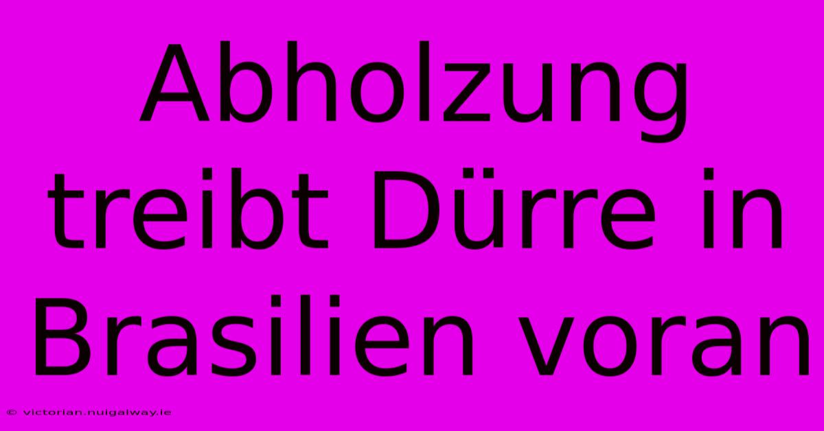 Abholzung Treibt Dürre In Brasilien Voran