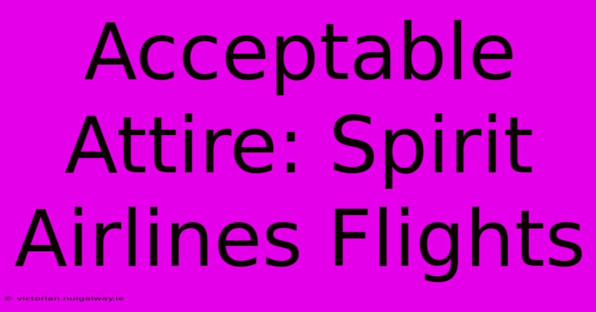 Acceptable Attire: Spirit Airlines Flights