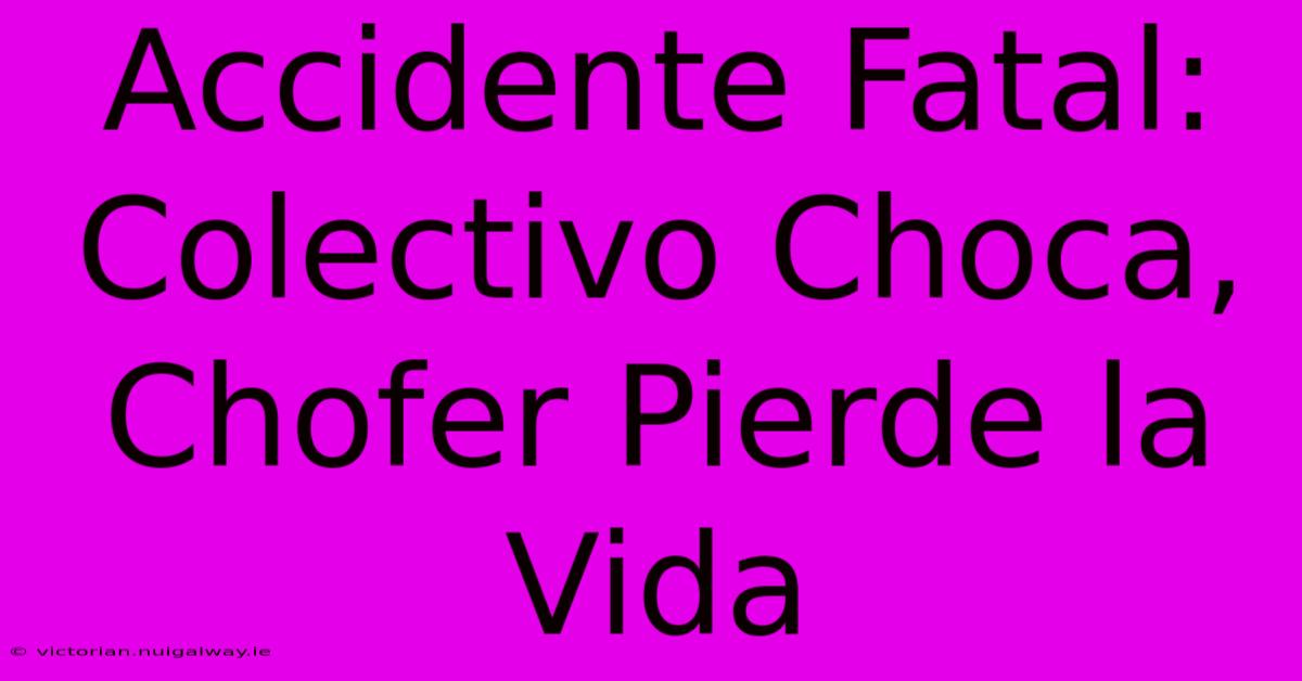 Accidente Fatal: Colectivo Choca, Chofer Pierde La Vida