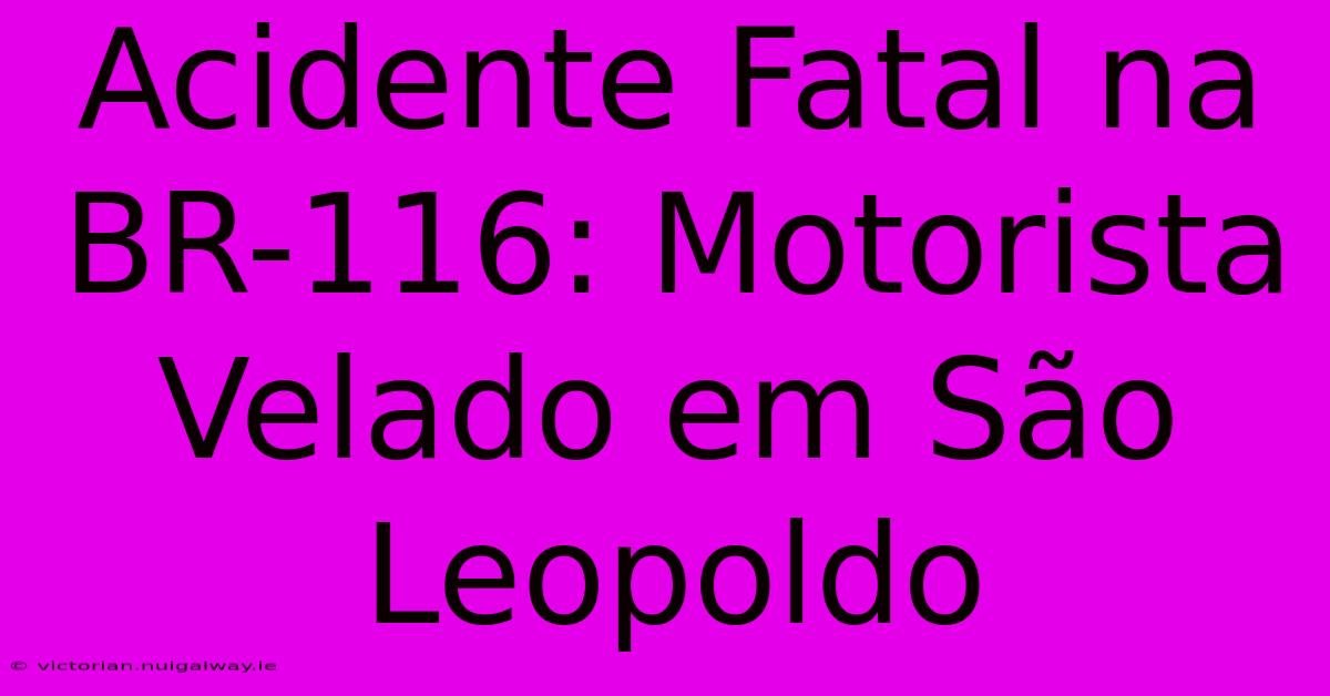 Acidente Fatal Na BR-116: Motorista Velado Em São Leopoldo