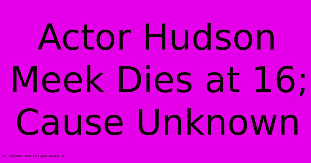 Actor Hudson Meek Dies At 16; Cause Unknown