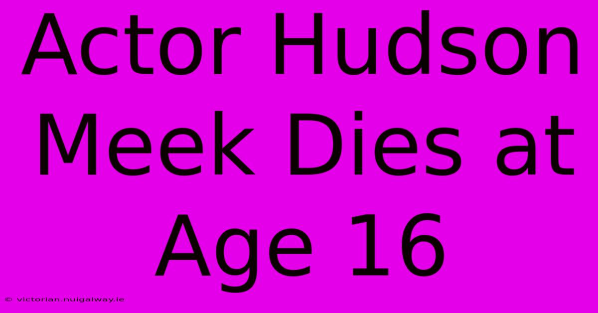 Actor Hudson Meek Dies At Age 16