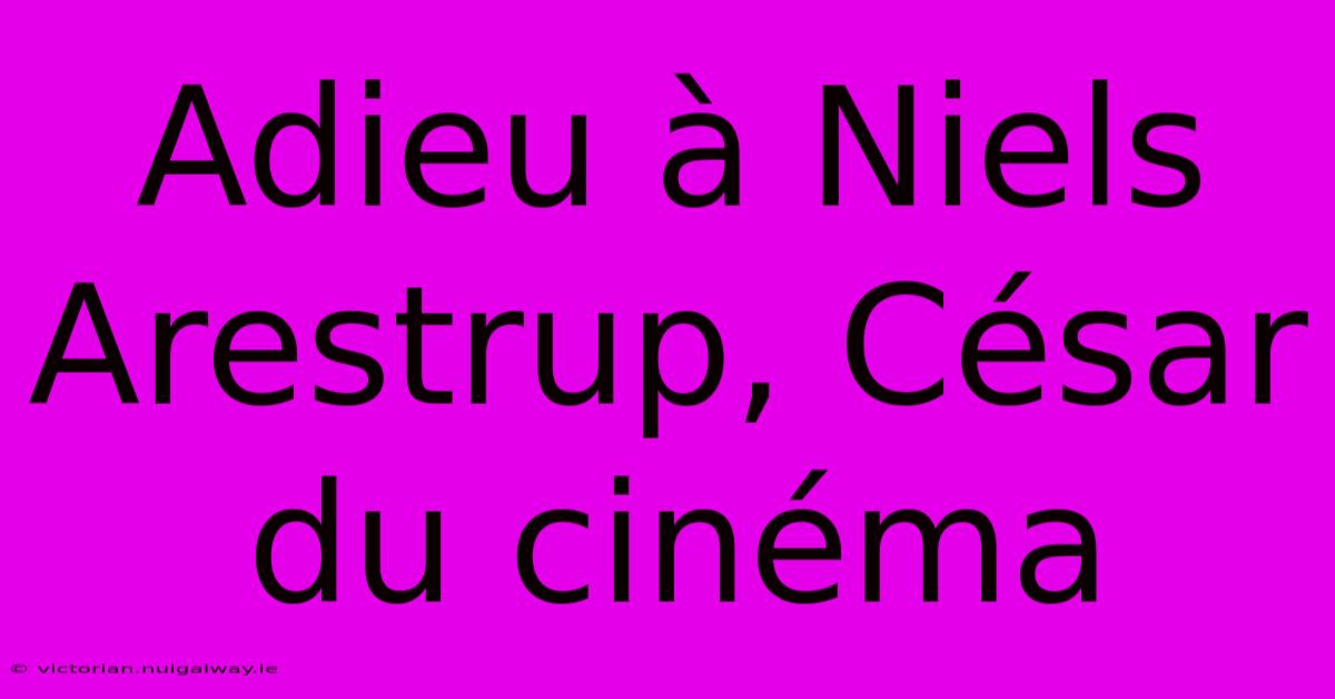 Adieu À Niels Arestrup, César Du Cinéma