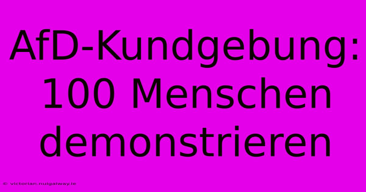 AfD-Kundgebung: 100 Menschen Demonstrieren