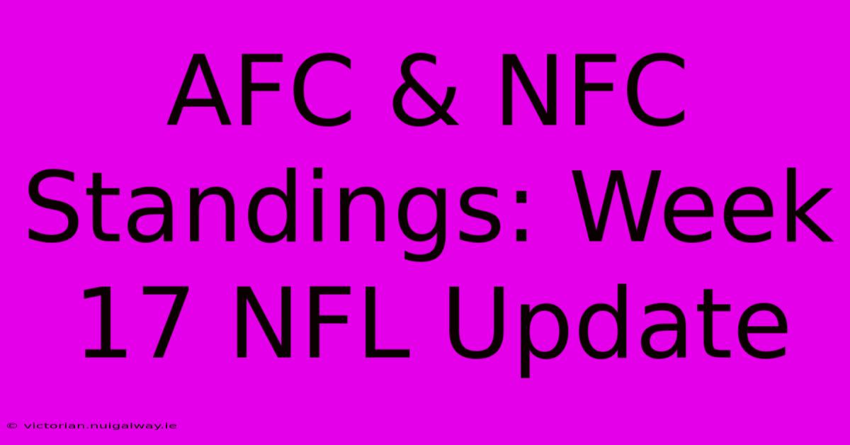 AFC & NFC Standings: Week 17 NFL Update