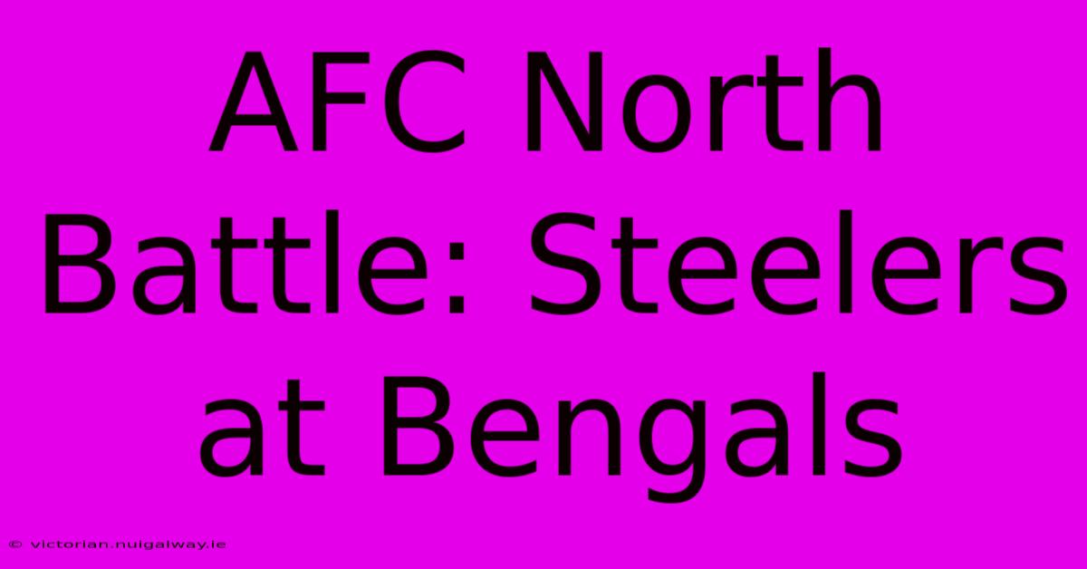 AFC North Battle: Steelers At Bengals