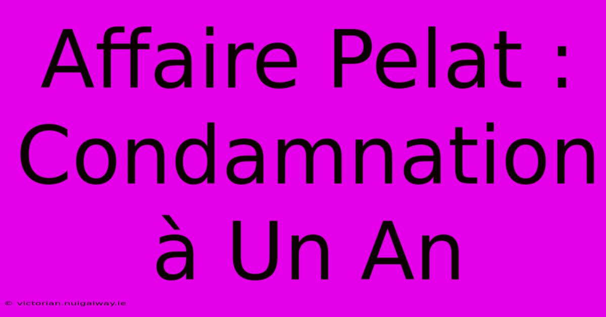 Affaire Pelat : Condamnation À Un An