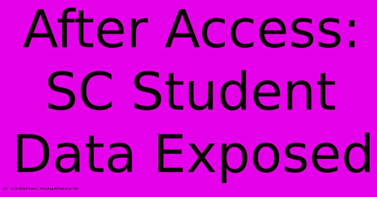 After Access: SC Student Data Exposed