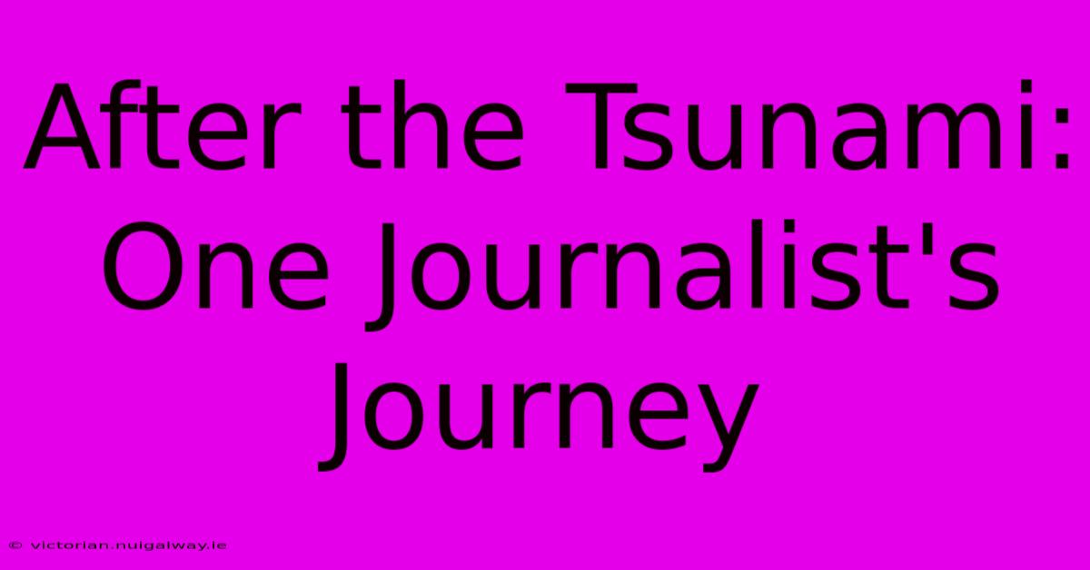 After The Tsunami: One Journalist's Journey