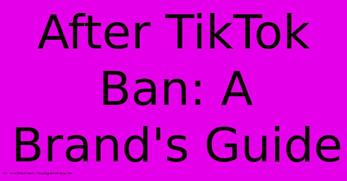 After TikTok Ban: A Brand's Guide