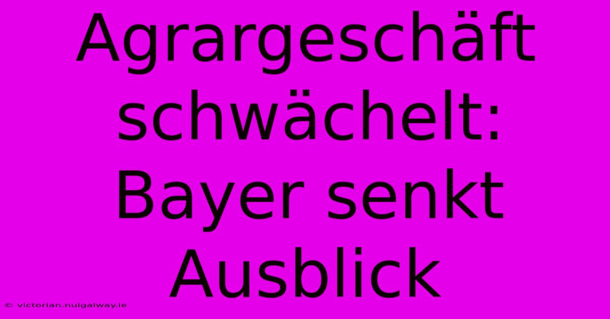 Agrargeschäft Schwächelt: Bayer Senkt Ausblick 