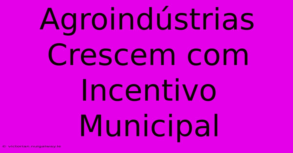 Agroindústrias Crescem Com Incentivo Municipal