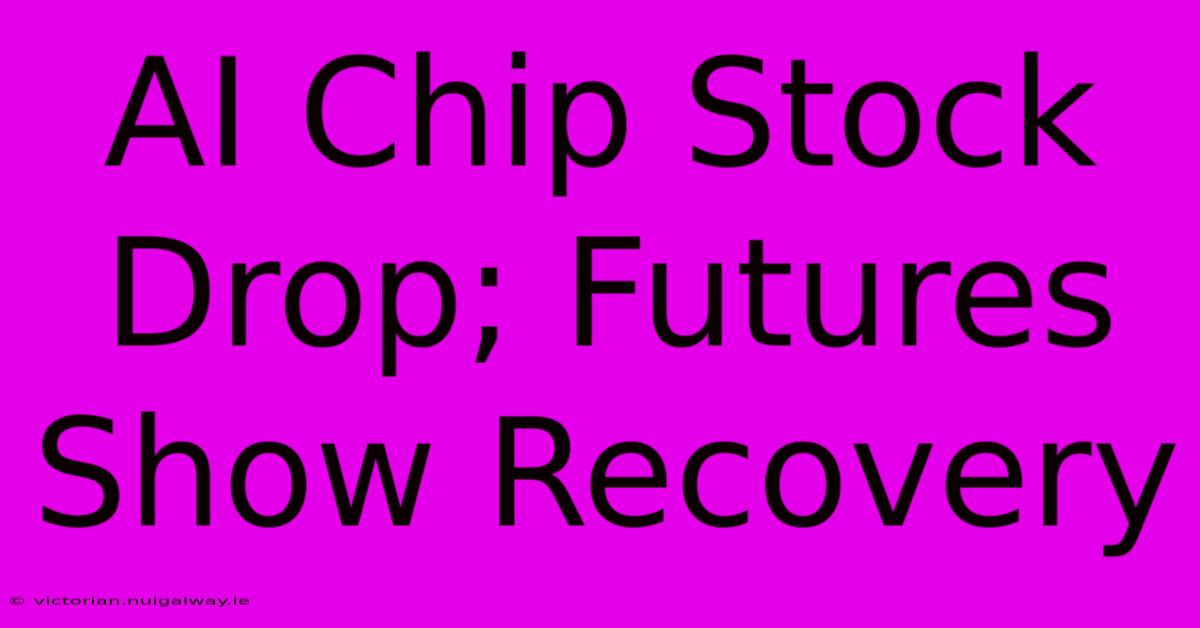 AI Chip Stock Drop; Futures Show Recovery