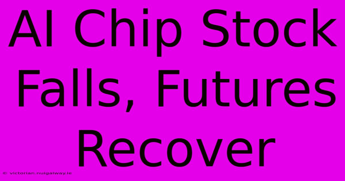 AI Chip Stock Falls, Futures Recover