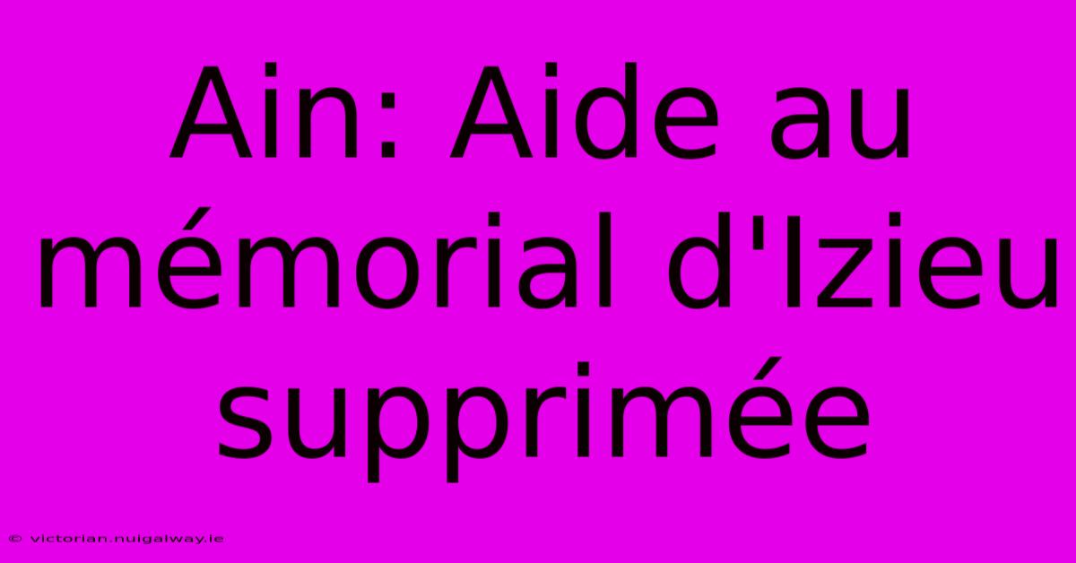 Ain: Aide Au Mémorial D'Izieu Supprimée