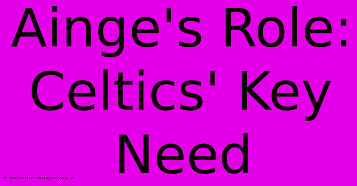 Ainge's Role: Celtics' Key Need