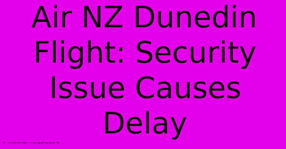 Air NZ Dunedin Flight: Security Issue Causes Delay