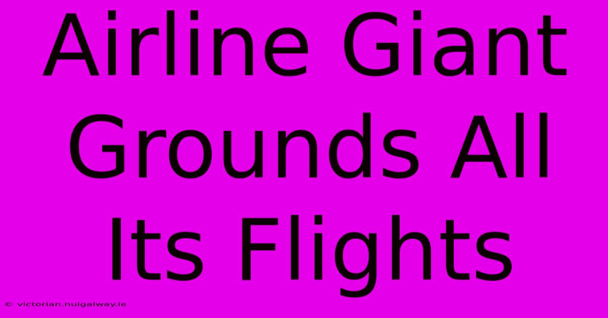 Airline Giant Grounds All Its Flights