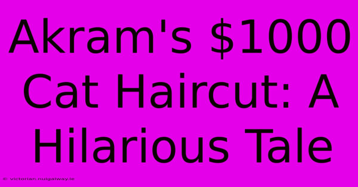 Akram's $1000 Cat Haircut: A Hilarious Tale