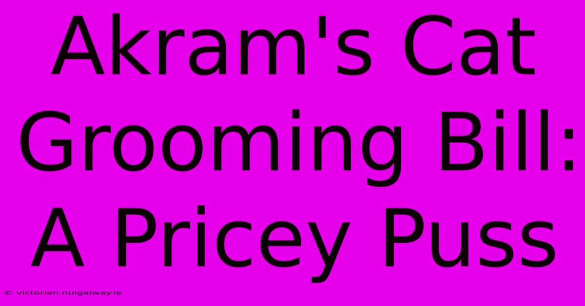 Akram's Cat Grooming Bill: A Pricey Puss