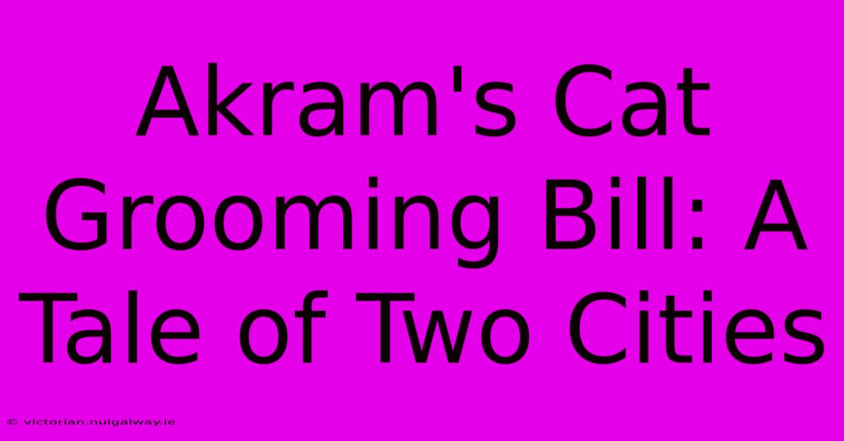 Akram's Cat Grooming Bill: A Tale Of Two Cities 