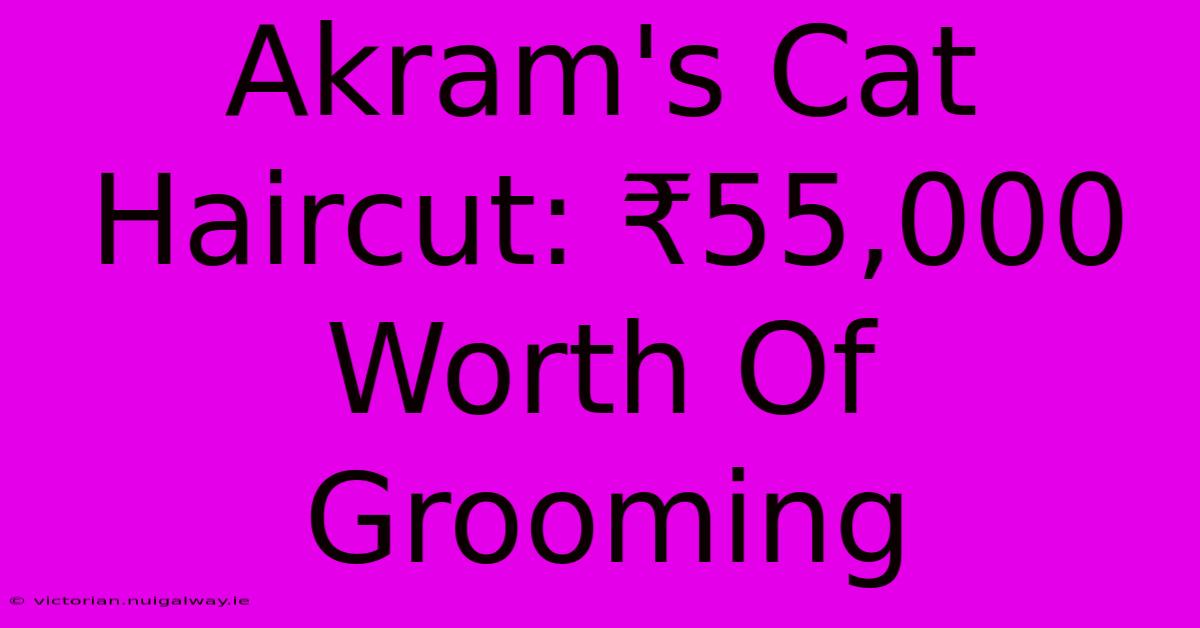 Akram's Cat Haircut: ₹55,000 Worth Of Grooming 