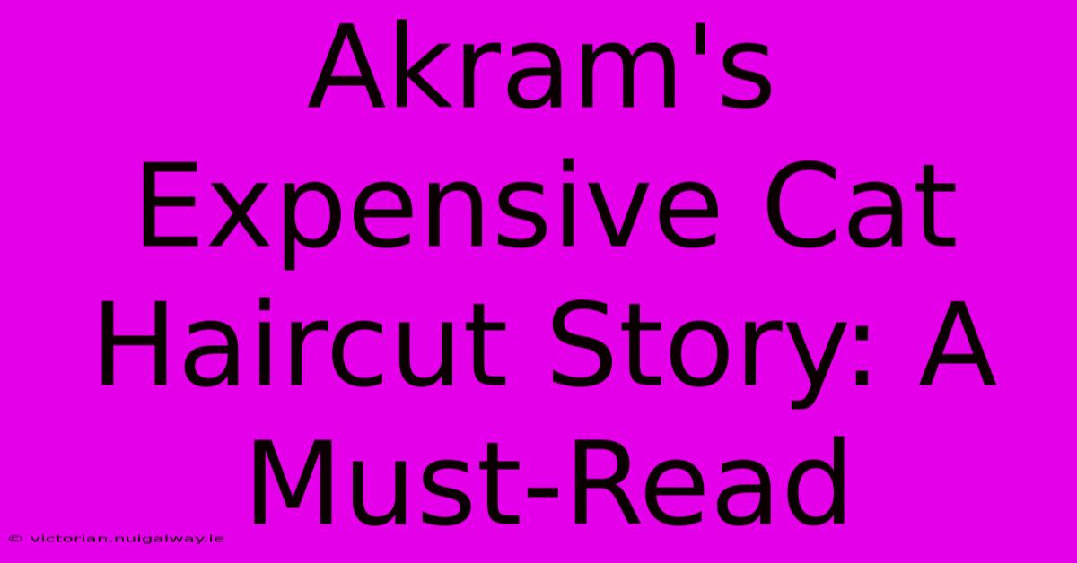 Akram's Expensive Cat Haircut Story: A Must-Read