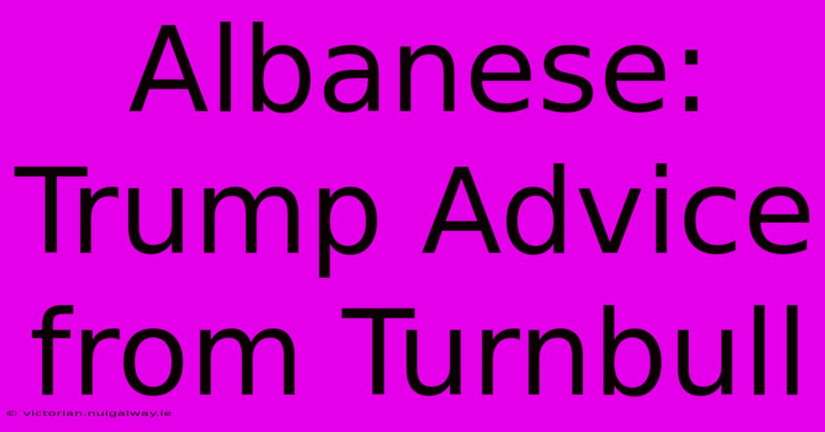 Albanese: Trump Advice From Turnbull 