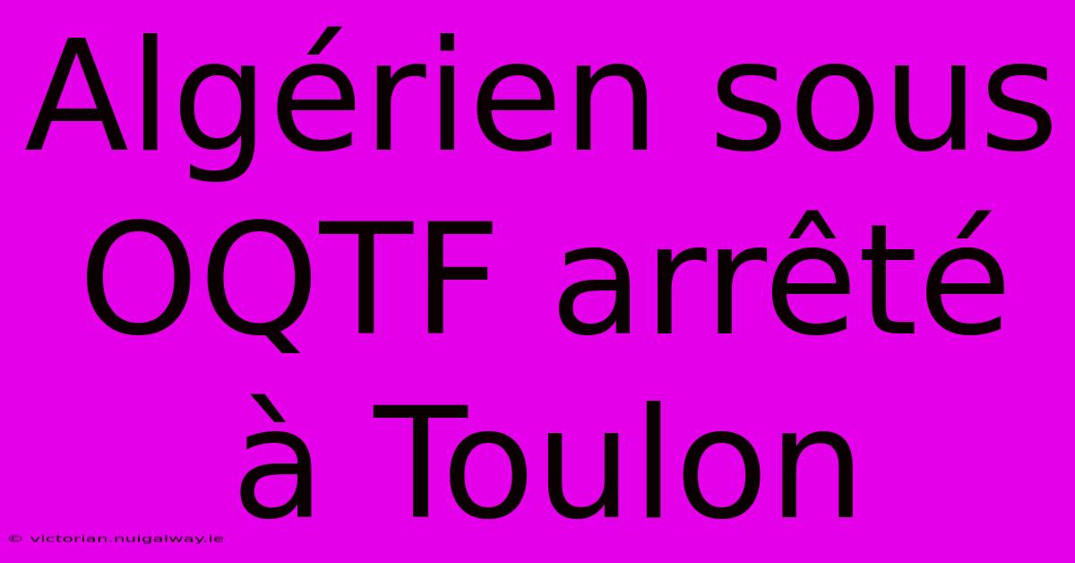 Algérien Sous OQTF Arrêté À Toulon