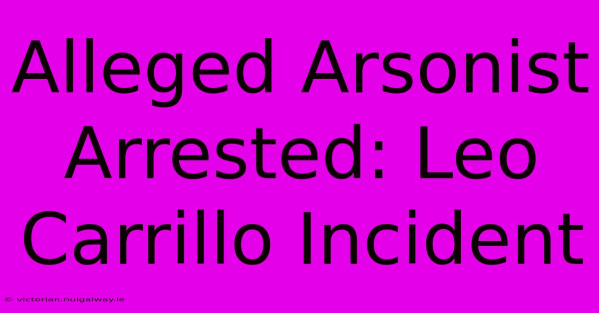 Alleged Arsonist Arrested: Leo Carrillo Incident