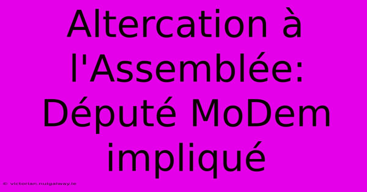 Altercation À L'Assemblée: Député MoDem Impliqué