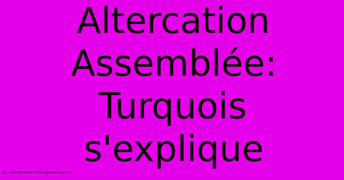 Altercation Assemblée: Turquois S'explique