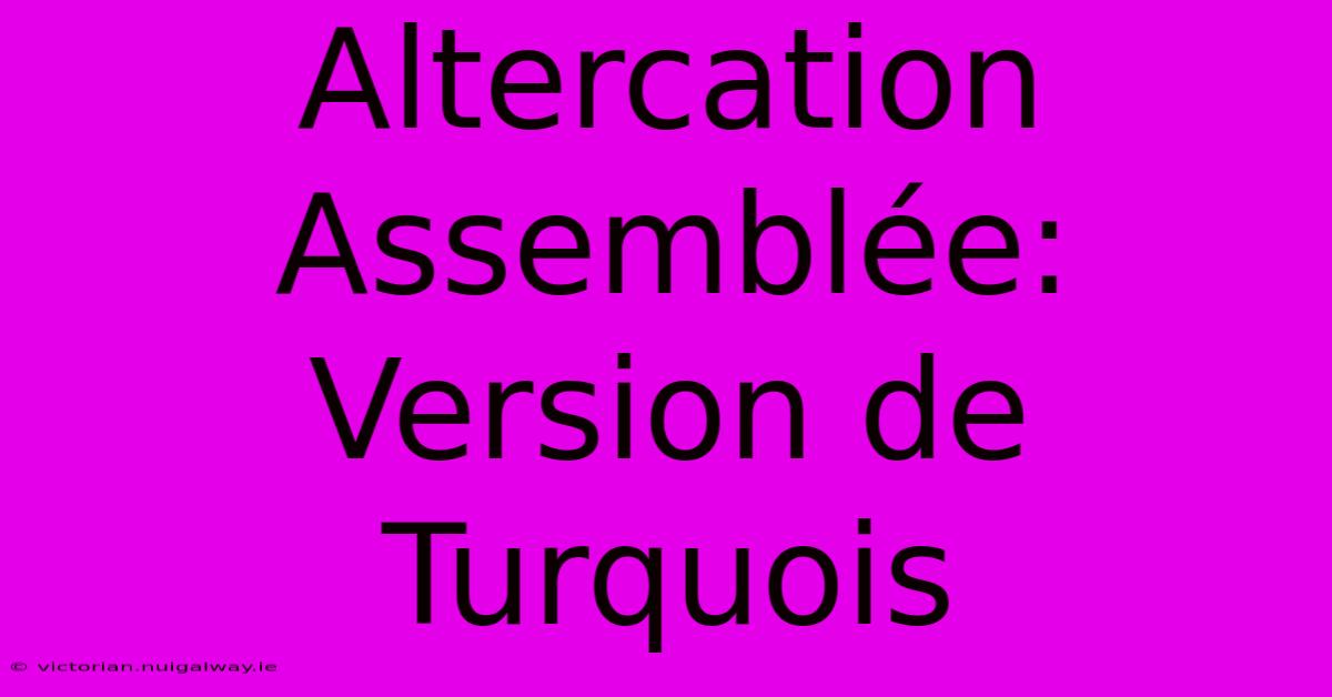 Altercation Assemblée:  Version De Turquois